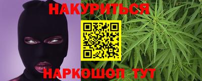 гашик Аргун