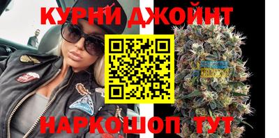гашик Аргун