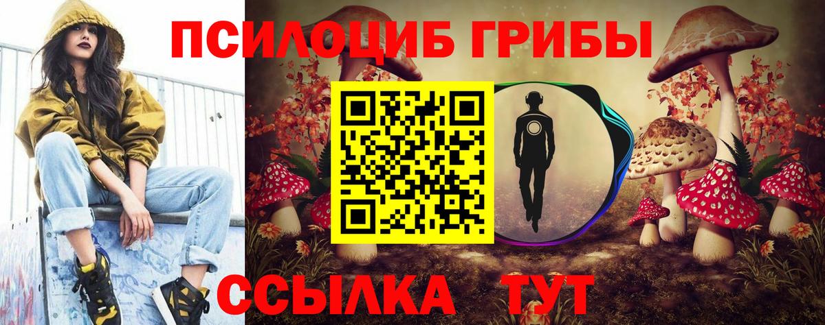 Воркута  Псилоцибиновые грибы Cubensis  Вход с VPN 